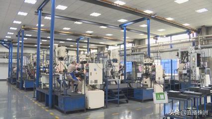 中國(guó)鎢業(yè)協(xié)會(huì)硬質(zhì)合金分會(huì)代表大會(huì)在株洲召開